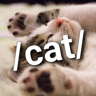 /cat/ ~ meow Telegram Tools & Utilities mini app