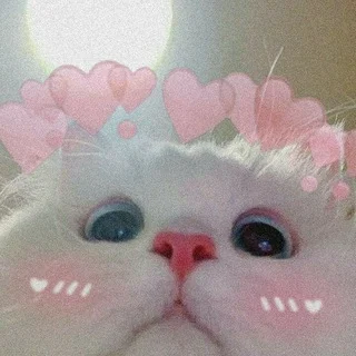 Котя Cards Telegram Gaming mini app