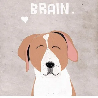 Dog’n’fox Telegram AI & Tech mini app