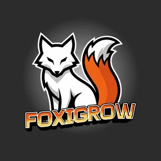 FoxiGrow Telegram Business mini app