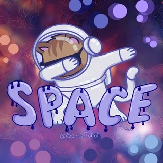 Space✨ Telegram Business mini app