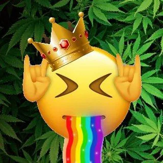 Prince Voice Telegram AI & Tech mini app