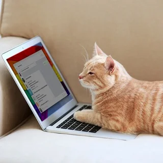 RegistrationBot Telegram Business mini app